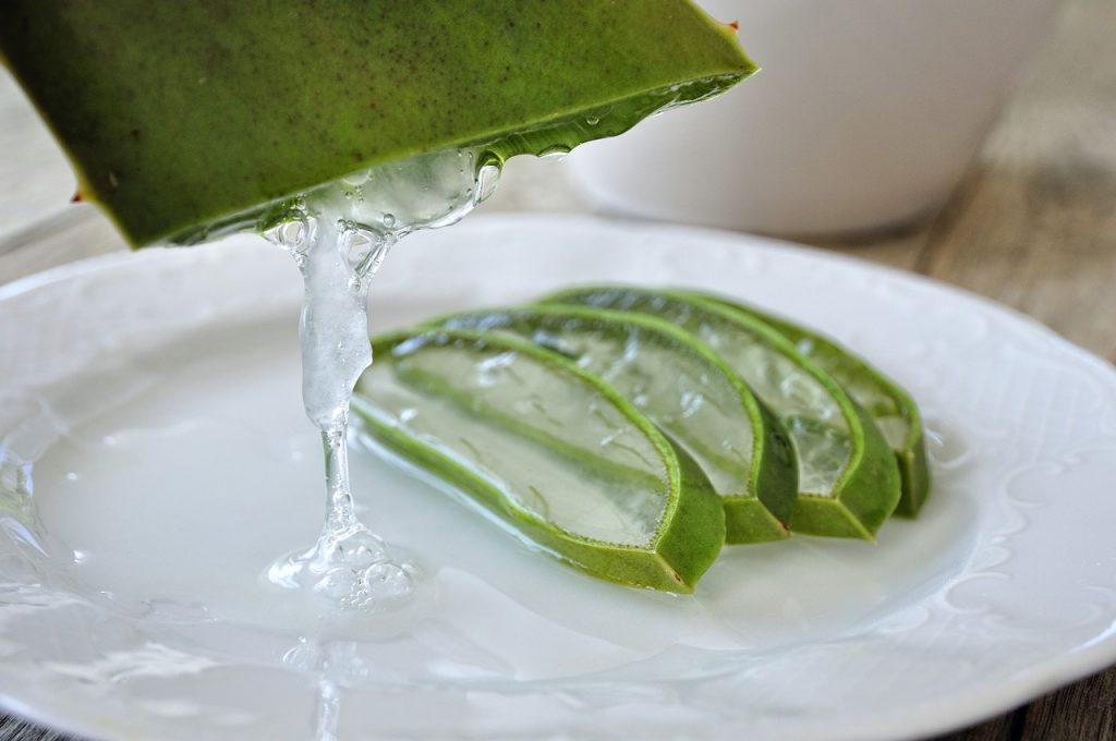 Aloe Vera 3